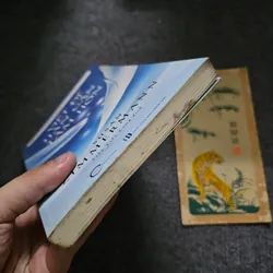 Viết để hàn gắn tâm hồn 735637