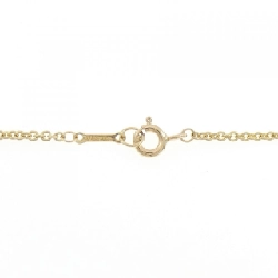 Dây chuyền Medallion Paloma Zellige Tiffany - Hàng hiệu Authentic 839617