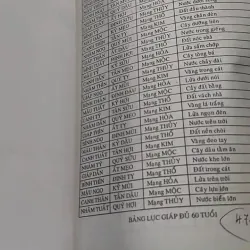 Căn Duyên Tiền Định 727287