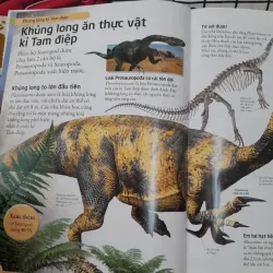 Bách Khoa Khủng Long dành cho trẻ em. Dinosour Encyclopeadia by Caloline. Minh Nguyệt dịch 572494