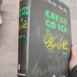Cây cỏ có ích ở Việt Nam tập 1 335417