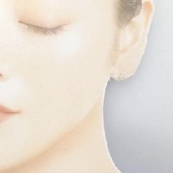 PT900 Bông tai kim cương 0.30CT - Hàng hiệu Chính hãng 871193