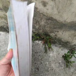 Địa chí Đồng Tháp Mười  1030146