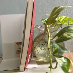 Cha mẹ Nhật dạy con tự lập 752119