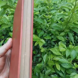 Các vĩ nhân tỉnh lẻ tập truyện của Dương Thu Hương 974254