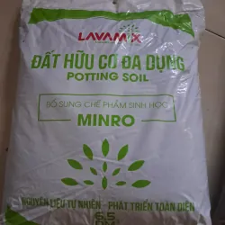 Đất trồng cây Lavamix