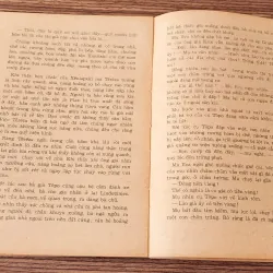 Tiểu thuyết SƠN NỮ & TƯỚNG CƯỚP 776169