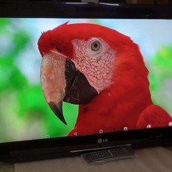 [Tivi LG 32" Full HD - Treo Tường - Bền & Sắc Nét]Thanh lý 69747