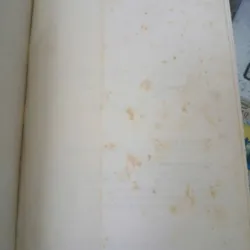 ĐƯỜNG CHỮ - LÊ ĐẠT 1033481