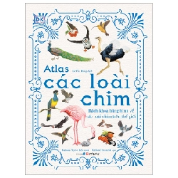 Atlas Các Loài Chim - Bách Khoa Bằng Hình Về Các Loài Chim Trên Thế Giới (Bìa Cứng) - Barbara Taylor, Richard Orr