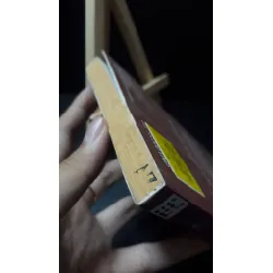 [59K/kg] Hợi vũ trụ mơ hồ 2014 - Asbook new 80% HCM1906 441403