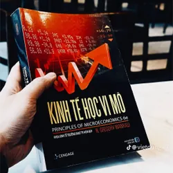 Kinh Tế Vi Mô 736025