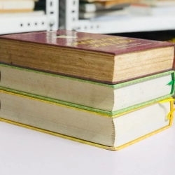 📚 BỘ 3 TẬP PHẬT HỌC PHỔ THÔNG – TỦ SÁCH GIÁ TRỊ CHO NGƯỜI MUỐN TÌM HIỂU PHẬT PHÁP 🌿  488315