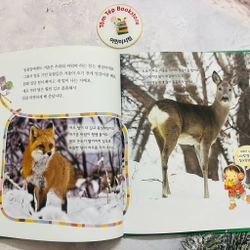 𝐒𝐞́𝐭 𝐬𝐚́𝐜𝐡 𝐪𝐮𝐚𝐧 𝐬𝐚́𝐭 𝐭𝐮̛̣ 𝐧𝐡𝐢𝐞̂𝐧 tiếng Hàn  푸른달 자연관찰(trọn bộ) 496923