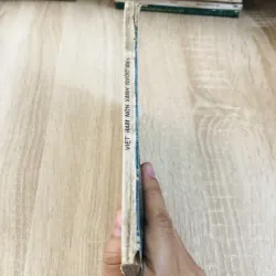 VIỆT NAM NON XANH NƯỚC BIẾC 929077