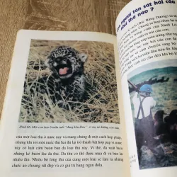 ĐỘNG VẬT HOANG DÃ KÊU CỨU 1027822