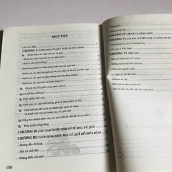 SỰ KỲ DIỆU CỦA NƯỚC CỐT RAU, CỦ, QUẢ TRONG CHỮA BỆNH  548756