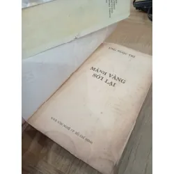 Mảnh vàng sót lại - Ung Ngọc Trí 598361