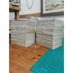 Truyện tranh Wild Life cuộc sống hoang dã 406271