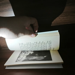 Ngoại văn kinh điển Stone Fox - John Reynolds Gardiner, 8 - 12 tuổi 548274