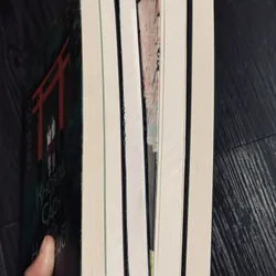 Trọn bộ 5 cuốn sách Yonezawa Honobu 592283