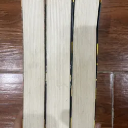 Pháp Thuật - Kinh Công - Y Thuật  Septimus Heap - Angie Sage - 3 tập (4) 596449