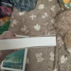 Tuyển tập Akutagawa 1 + 2 748049