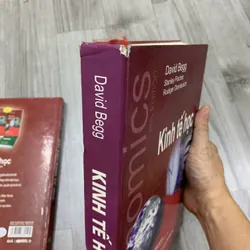 Kinh tế học - David Begg. Combo 2 cuốn bìa cứng. 8b3 572611