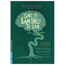 Sao Ta Làm Điều Ta Làm 2022 - Edward L.Deci, Richard Flaste New 100% HCM.PO