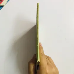 THÀNH CÁT TƯ HÃN (Gengis Khan) 795524