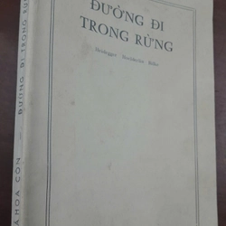 ĐƯỜNG ĐI TRONG RỪNG - Bùi Giáng