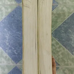 Hồ Tuyết Nham ( 2 tập) - Chung Nguyên & Doanh Vịnh 712497