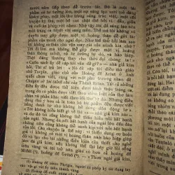 Đám cưới giả - Xecvantex 991234