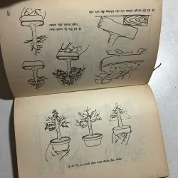 Tiểu Cảnh - Đỗ Xuân Hải 760189