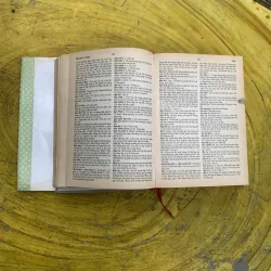 TỪ ĐIỂN TIẾNG VIỆT - VIỆN NGÔN NGỮ HỌC 799943