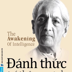 Đánh Thức Trí Thông Minh - J Krishnamurti