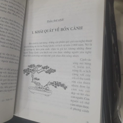 BONSAI - Cây dáng, thế và Non bộ 541969
