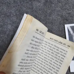 Một thời lầm lỗi và trở lại nước Mỹ - lê lựu 1004969