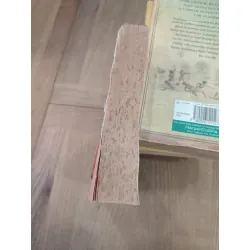 THE PREACHER'S DAUGHTER - Beverly Lewis 178847