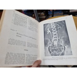 ANATOMY : A REGIONAL STUDY OF HUMAN STRUCTURE (3rd Edition) - E. Gardner, D.J. Gray, R.O'Rahilly 138143