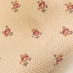 Túi Coach F55598 617832