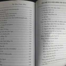 Đức Phật và 45 Năm Hoằng Pháp Độ Sinh - Tập 9 756021