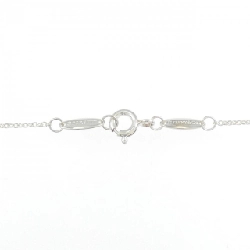 Dây chuyền Tiffany By The Yard - Hàng hiệu Authentic 845017