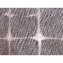 Áo khoác kimono đơn lớp - Hàng hiệu Authentic 876853