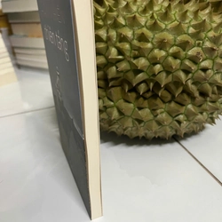 Thiên Táng 446480