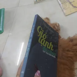 Gió lạnh đầu mùa hcm
