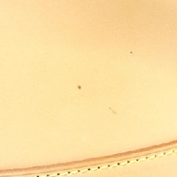 Túi xách vai Louis Vuitton Mare Vantier M99070 - Hàng hiệu Chính hãng 767798