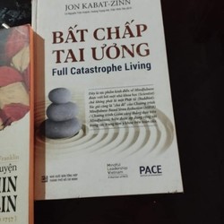 Bất chấp tai ương - Jon Kabat Zin 143369