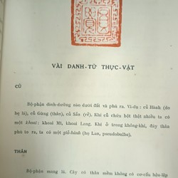 CÂY CỎ MIỀN NAM VIỆT NAM - Phạm Hoàng Hộ 194860