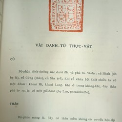 CÂY CỎ MIỀN NAM VIỆT NAM 194860